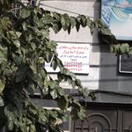 نمایندگی شرکت تریتا