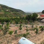 ویلای میرزا علی مجردی