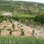 ویلای میرزا علی مجردی