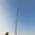 انوش صالحی
