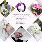 موسسه گل ارکید