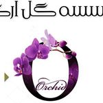 موسسه گل ارکید