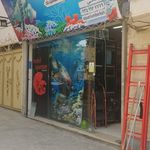 آکواریوم نمو