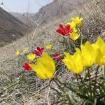 حمام قدیمی ولیان