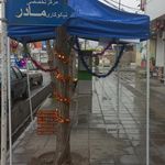 موسسه خیریه امام رضا   استان مرکزی