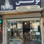 برنز لوکس