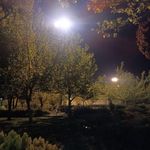 پارک نیایش (بوستان نیایش)