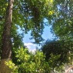 سرویس بهداشتی بوستان پلیس شماره 2