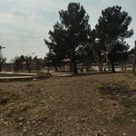بوستان شقایق