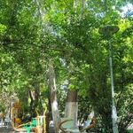 سرویس بهداشتی بوستان پلیس شماره 2