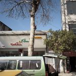 گیاهان دارویی اسلام و سلامت