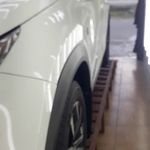 تشخیص رنگ خودرو(کاسپین)