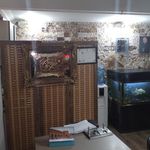 املاک اریکه