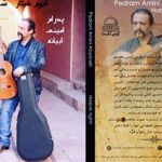 آموزشگاه موسیقی دکتر پدرام امینی