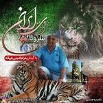 آموزشگاه موسیقی دکتر پدرام امینی