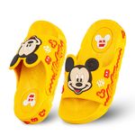 تولیدی دمپایی