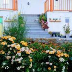 اقامتگاه بومگردی یاشیل طبیعت