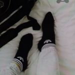 تولیدی جوراب اسپرت محبی