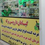 گیاهان دارویی برکه