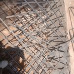 کاشت تخصصی میلگرد رئیسی