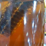 عسل کده سحر بانو