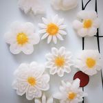 قندونبات شاهکار