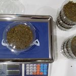 آنلاین شاپ فروش ماهی قزل آلا