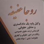 وکیل دادگستری