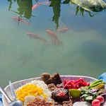 اقامتگاه بومگردی متین السلطنه