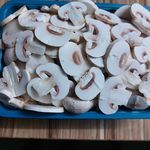 پخش قارچ هیلدانه