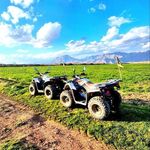 تفریحگاه (کلبه سوئیسی با تفریحات هیجانی)