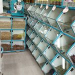 عطاری ارکیده نیشابوری