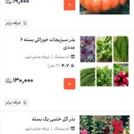 غرفه چشم شهر فروش انواع بذر