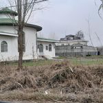 بیجاربنه