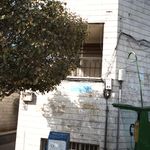 دکتر نیرالسادات سیاه پوش