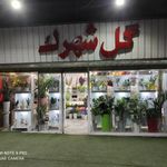 گل فروشی آنلاین بامبو