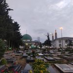 فروشگاه میوه لمتر کاظمی