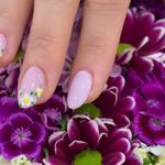 سالن زیبایی هرا