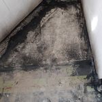 محمد پاکراد