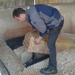 محسن عظیمی نسب