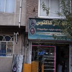 تابلو سازکاکتوس