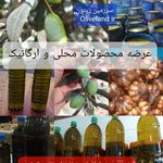 سرزمین زیتون و روغن زیتون