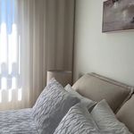 پرده فروشی نقد اقساط.