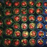 سفره خانه سنتی چهار سوق