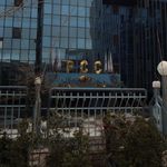 شرکت بازرگانی پتروشیمی