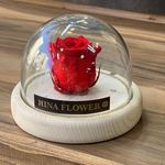 گل فروشی آبرون