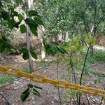 Artin Ecolodge | اقامتگاه بوم گردی آرتین دماوند