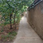 Artin Ecolodge | اقامتگاه بوم گردی آرتین دماوند