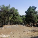 بوستان خرگوش دره