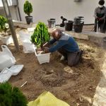 موسی سعادتی مقدم